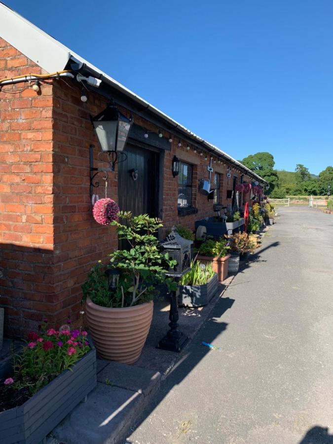 Dolafon Farm Luxury Glamping Cabin With Hot Tub St Asaph Extérieur photo
